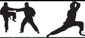 Fittness and Self Defense for Senior citizenss, Women, Girls , Boys & Childrean